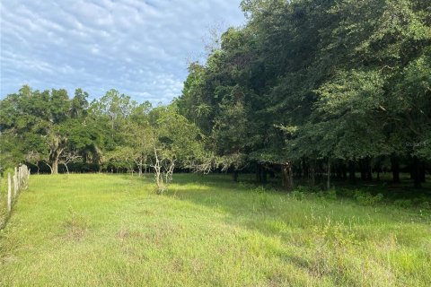 Terreno en venta en Oxford, Florida № 1919209 - foto 2