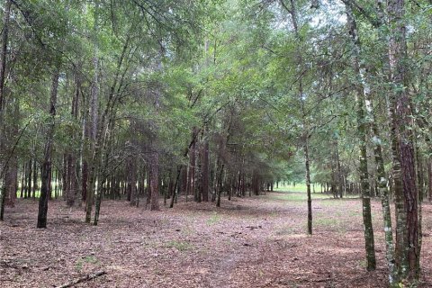 Terreno en venta en Oxford, Florida № 1919209 - foto 16