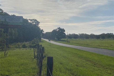 Terreno en venta en Oxford, Florida № 1919209 - foto 9