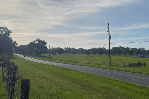 Terreno en venta en Oxford, Florida № 1919209 - foto 8