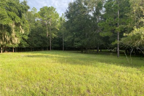 Terreno en venta en Oxford, Florida № 1919209 - foto 1