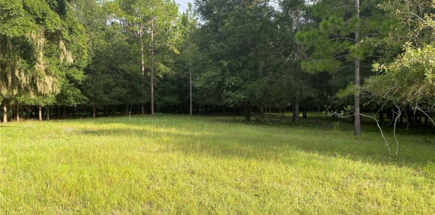 Terreno en Oxford, Florida № 1919209