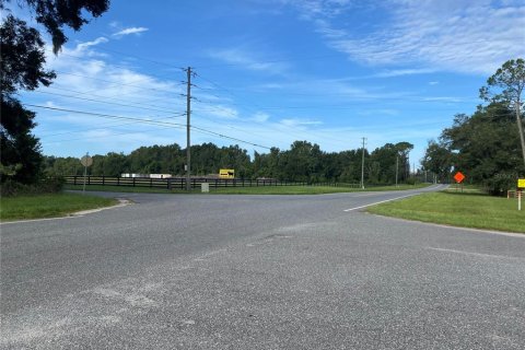 Terreno en venta en Oxford, Florida № 1919209 - foto 6