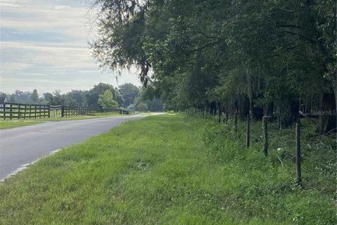 Terreno en venta en Oxford, Florida № 1919209 - foto 21