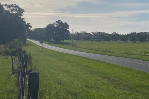 Terreno en venta en Oxford, Florida № 1919209 - foto 10