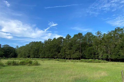 Terreno en venta en Oxford, Florida № 1919209 - foto 23