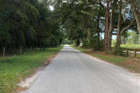 Terreno en venta en Oxford, Florida № 1919209 - foto 18