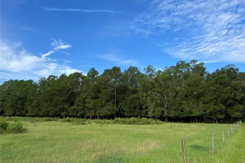 Terreno en venta en Oxford, Florida № 1919209 - foto 22