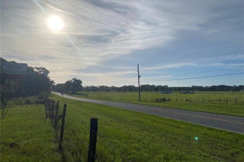 Terreno en venta en Oxford, Florida № 1919209 - foto 4