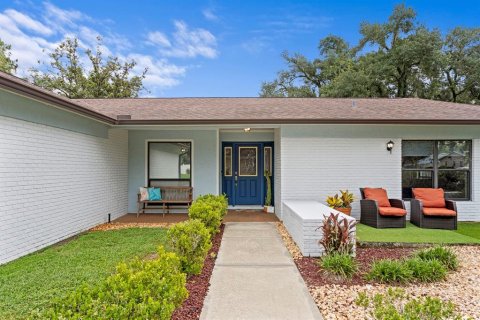 House in Temple Terrace, Florida 4 bedrooms, 199.37 sq.m. № 2284416