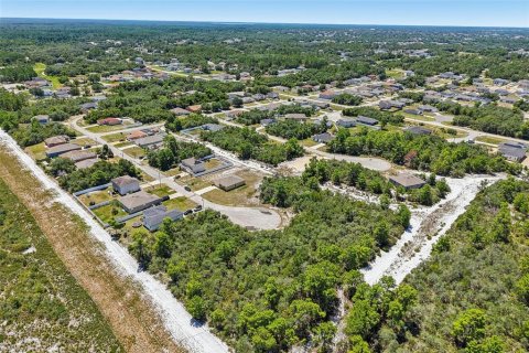 Terreno en venta en Poinciana, Florida № 2225295 - foto 5