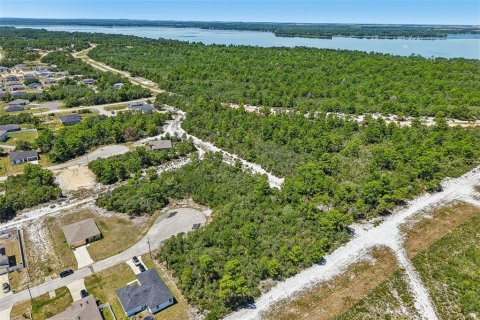 Terreno en venta en Poinciana, Florida № 2225295 - foto 4