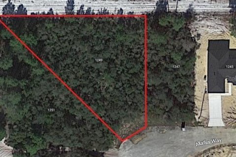 Terreno en venta en Poinciana, Florida № 2225295 - foto 3