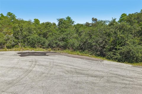 Terreno en venta en Poinciana, Florida № 2225295 - foto 8