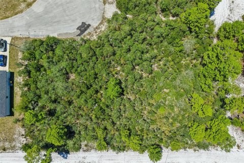 Terreno en venta en Poinciana, Florida № 2225295 - foto 9