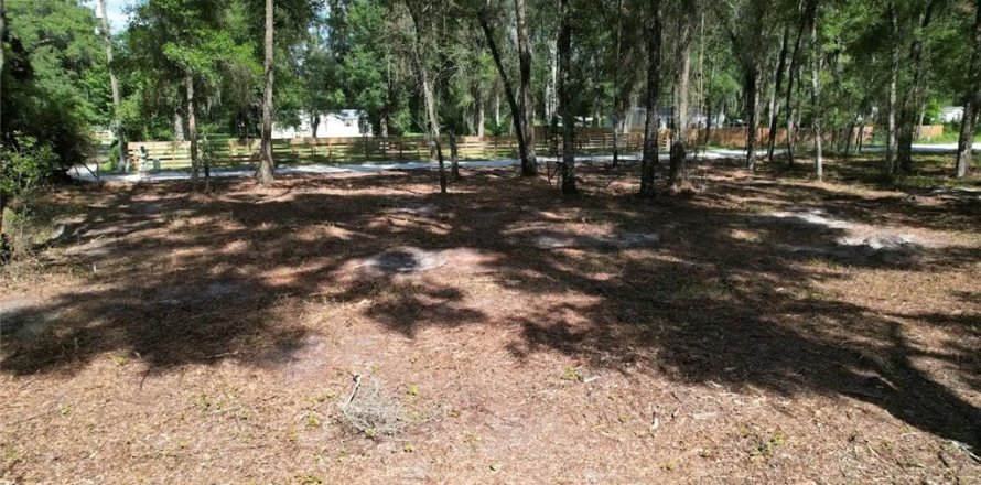 Terrain à Summerfield, Floride № 2218469