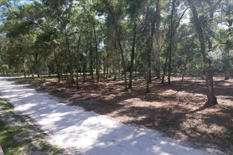 Terrain à vendre à Summerfield, Floride № 2218469 - photo 3