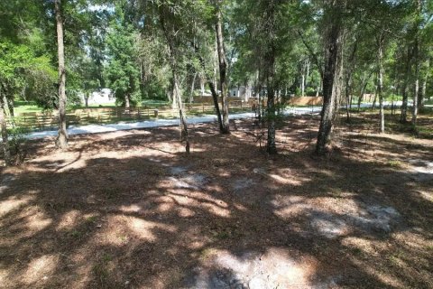 Terrain à vendre à Summerfield, Floride № 2218469 - photo 4