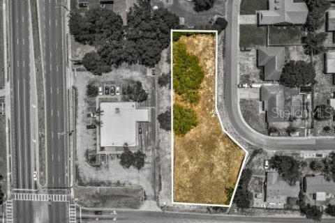 Land in Port Richey, Florida № 1910439 - photo 19