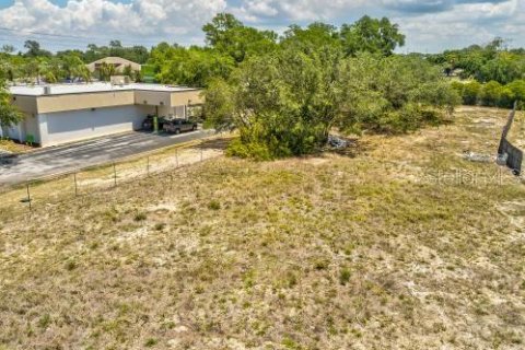 Land in Port Richey, Florida № 1910439 - photo 11