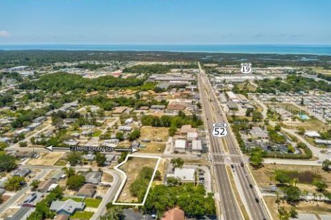 Land in Port Richey, Florida № 1910439 - photo 5
