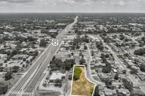Land in Port Richey, Florida № 1910439 - photo 18