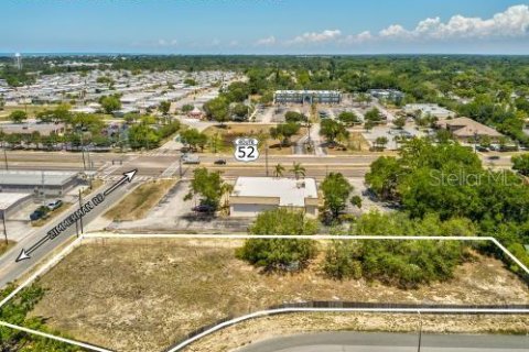 Land in Port Richey, Florida № 1910439 - photo 8