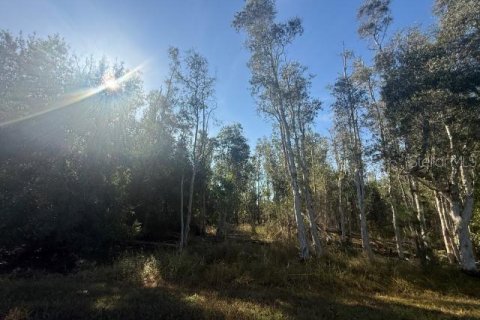 Terrain à Punta Gorda, Floride № 2159916