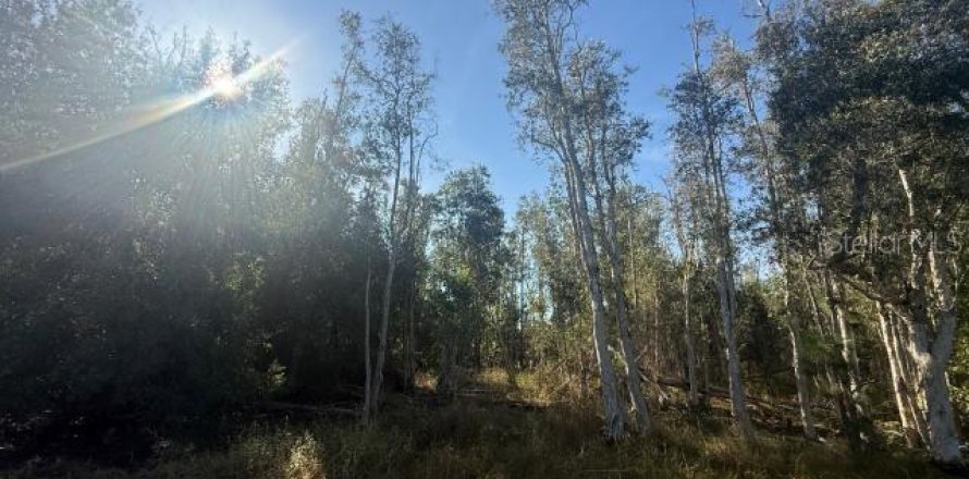 Terrain à Punta Gorda, Floride № 2159916