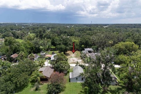 Land in Dade City, Florida № 1799765 - photo 2