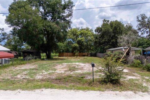 Land in Dade City, Florida № 1799765 - photo 6