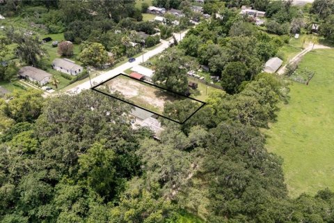 Land in Dade City, Florida № 1799765 - photo 4