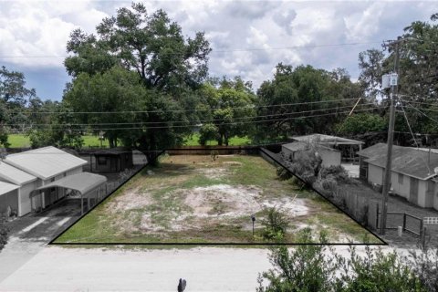 Land in Dade City, Florida № 1799765 - photo 1