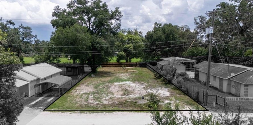 Land in Dade City, Florida № 1799765