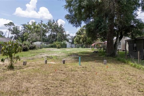 Land in Dade City, Florida № 1799765 - photo 8