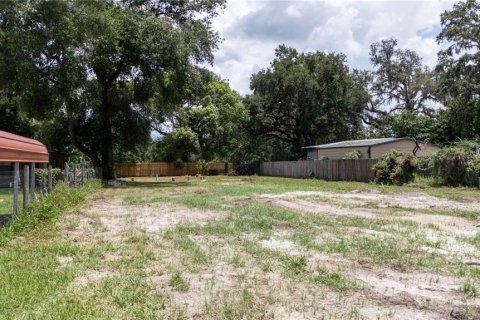 Land in Dade City, Florida № 1799765 - photo 7