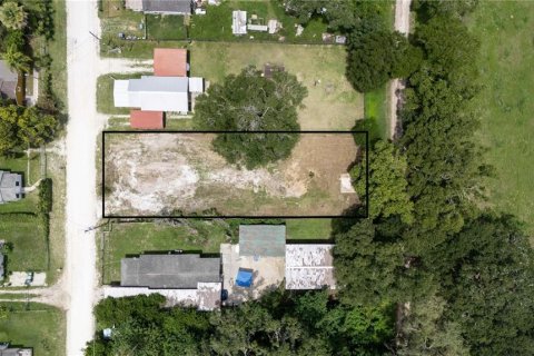 Land in Dade City, Florida № 1799765 - photo 5