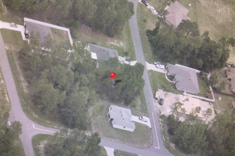 Land in Ocala, Florida № 2390924 - photo 5