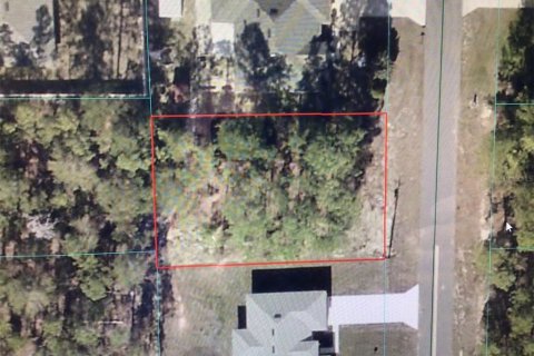 Land in Ocala, Florida № 2390924