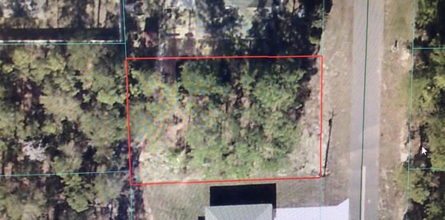 Land in Ocala, Florida № 2390924