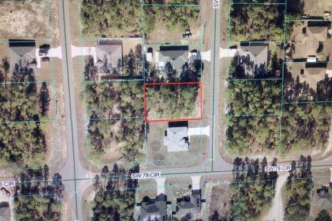 Land in Ocala, Florida № 2390924 - photo 2
