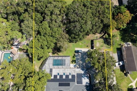 Villa ou maison à vendre à Clearwater, Floride: 3 chambres, 250.65 m2 № 2428926 - photo 11