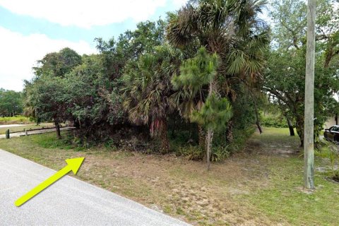 Land in Port Charlotte, Florida № 1295434 - photo 3