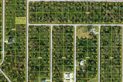 Land in Port Charlotte, Florida № 2165744 - photo 2