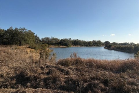 Land in Arcadia, Florida № 2108716 - photo 8