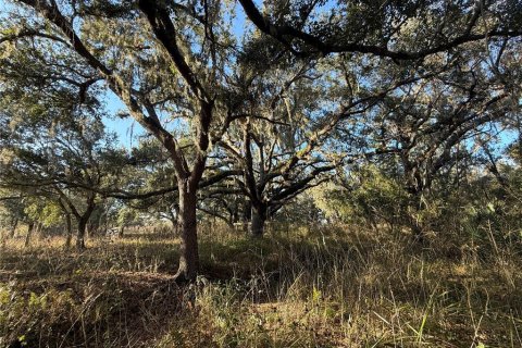 Land in Arcadia, Florida № 2108716 - photo 14