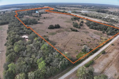Land in Arcadia, Florida № 2108716 - photo 2