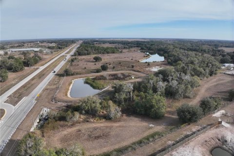 Land in Arcadia, Florida № 2108716 - photo 23