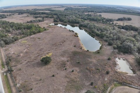 Land in Arcadia, Florida № 2108716 - photo 16