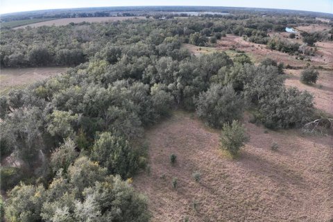 Land in Arcadia, Florida № 2108716 - photo 21